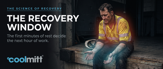 The Recovery Window: The First Minutes of Rest